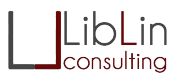 Liblin Consulting